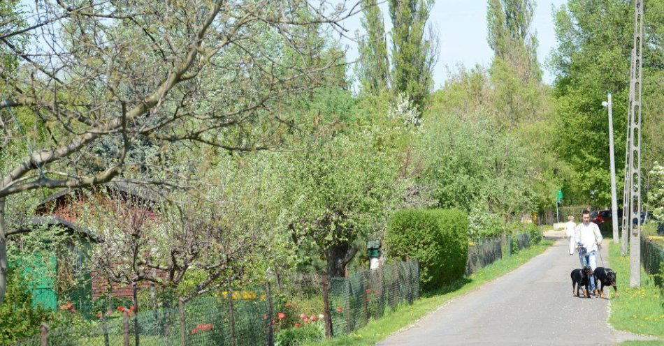 zdjęcie: Działki w Rodzinnych Ogrodach Działkowych w 3 lata zdrożały o blisko 30 proc. / fot. PAP