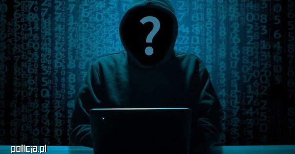 zdjęcie: Oszustwo inwestycyjne. Mieszkaniec stracił 174 tys. zł / fot. KPP w Nowym Dworze Gdańskim