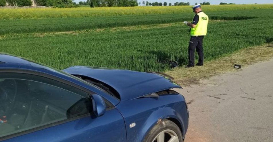 zdjęcie: Nieustąpienie pierwszeństwa i alkohol przyczynami poważnych zdarzeń drogowych / fot. KPP Krasnystaw