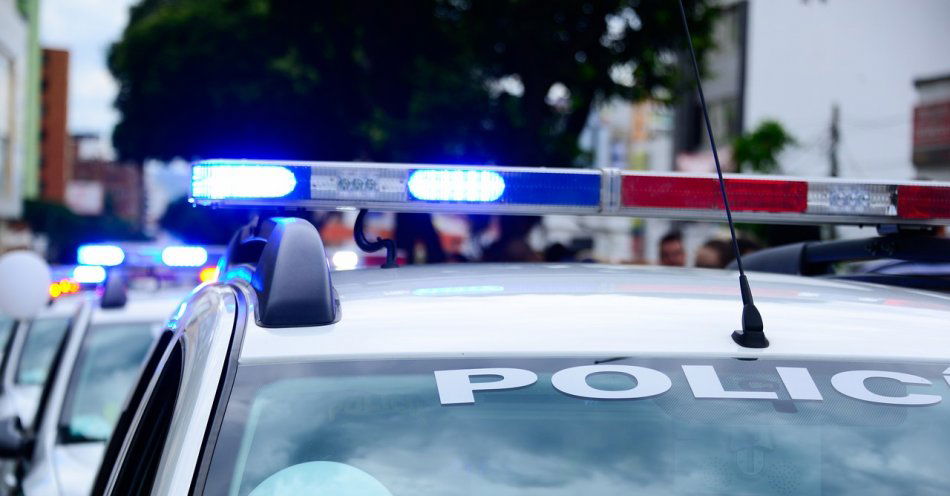 zdjęcie: Dzięki policjantom Polacy czują się bezpiecznie / pixabay/1531273