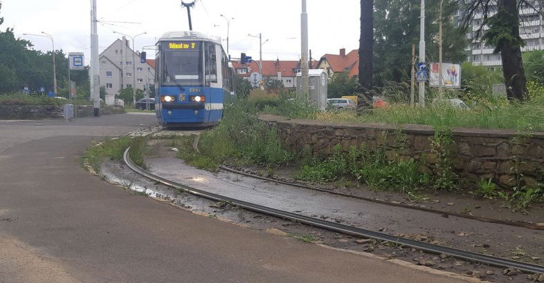zdjęcie: Gramy w zielone… teraz na północy Wrocławia / fot. nadesłane