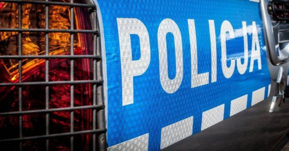 zdjęcie: Areszt za znęcanie nad rodziną / fot. KPP Puławy