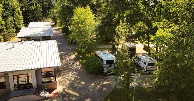 Lato na Campingu 215. Turyści z całego świata wybierają Katowice
