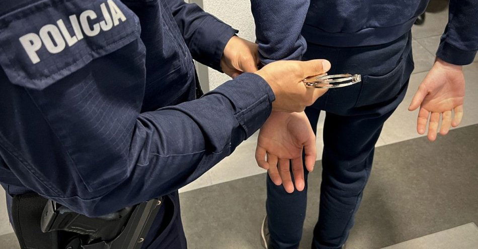 zdjęcie: Policja w Pile zatrzymała siedem osób / fot. KPP Piła