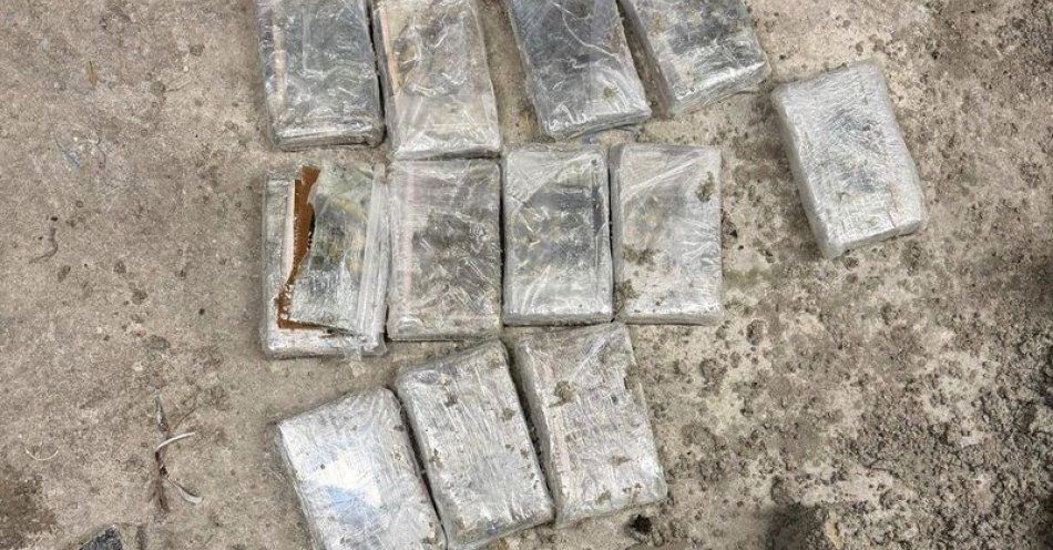 zdjęcie: Ponad 42 kg kokainy ukryte w donicach. Aresztowany 42 latek / fot. KMP w Wrocławiu