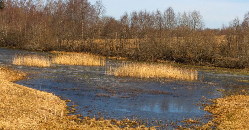 zdjęcie: Susza nad Narwią i Biebrzą - w parkach narodowych bez wiosennych rozlewisk / v17103267