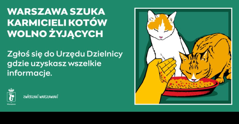 zdjęcie: Dołącz do grona opiekunów wolno żyjących kotów / fot. nadesłane