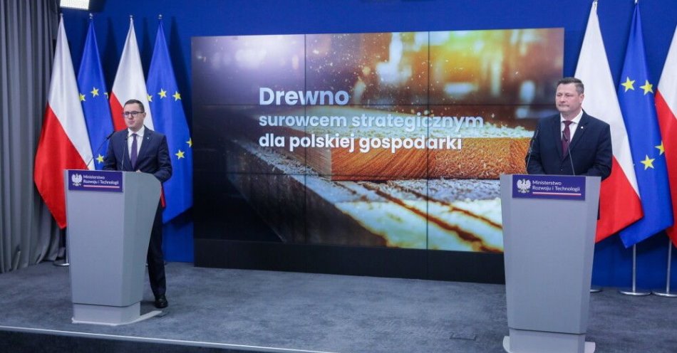 zdjęcie: Ministerstwo rozwoju zamierza zaliczyć drewno do surowców strategicznych / fot. PAP