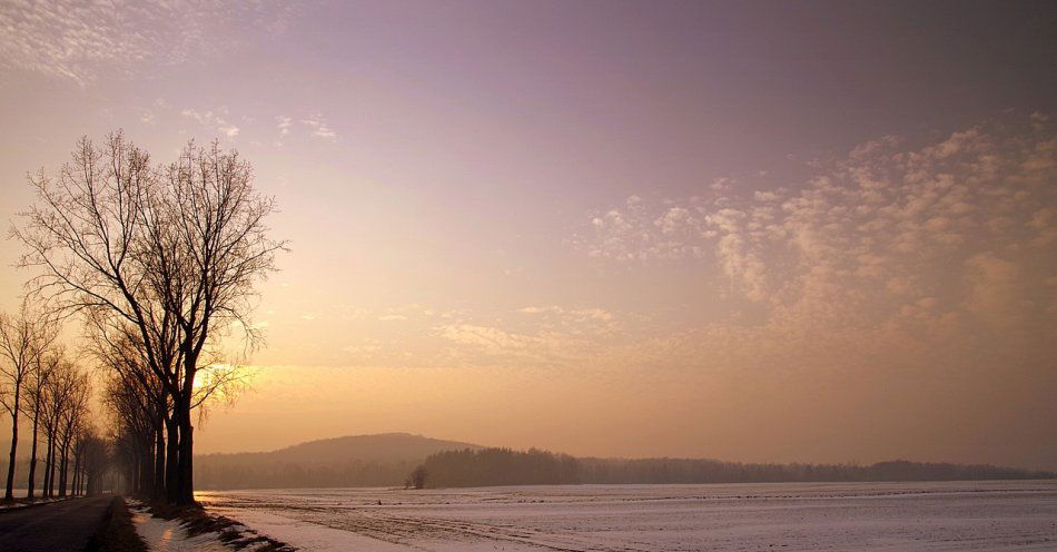 zdjęcie: W piątek w całym kraju spadnie śnieg / pixabay/2077340