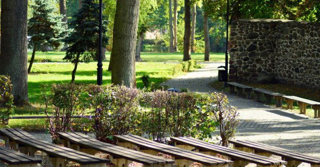 B. prezes Parku Śląskiego skazany za przyjęcie 100 tys. zł łapówki