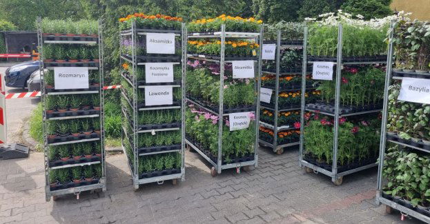 Ekopoukładani - wymień elektroodpady, baterie i odzież na rośliny