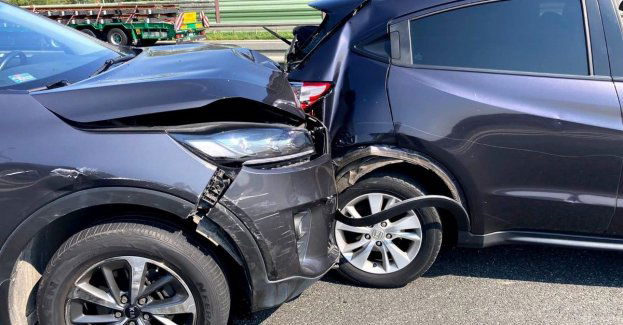 Cofał na autostradzie, doprowadził do kolizji i… pogryzł poszkodowanego