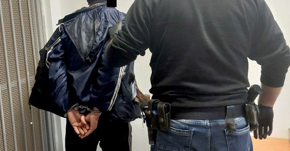 zdjęcie: Zatrzymany 42 latek po serii włamań i kradzieży / fot. KPP w Grodzisku Mazowieckim