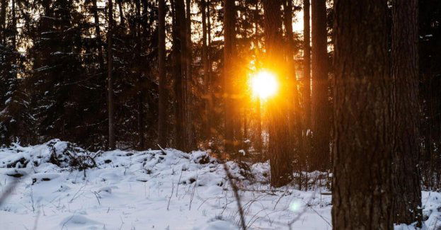 W nocy do 29 st. C mrozu na północnym wschodzie kraju