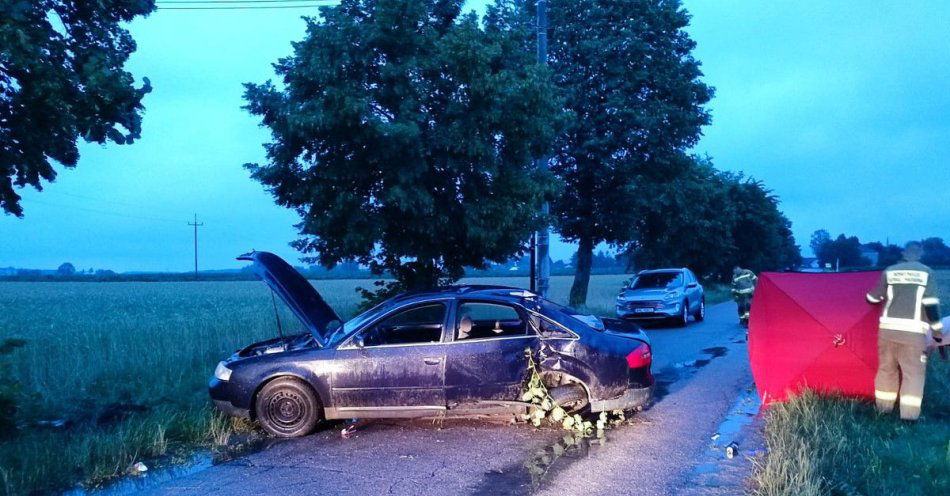 zdjęcie: Tragiczny wypadek na drodze relacji Chmielewo Wielkie - Grzebsk / fot. KPP w Mławie