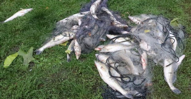 Kłusownicy ryb nie unikną kary