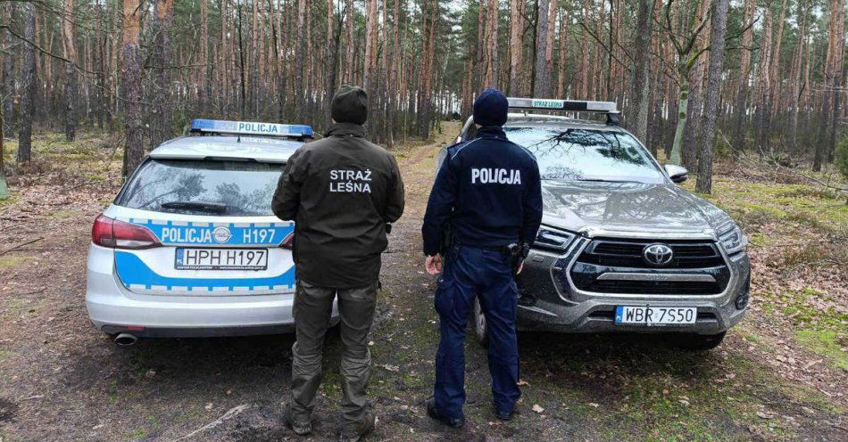zdjęcie: Patrole w lasach przeciwko nielegalnej wycince choinek / fot. KPP w Kozienicach