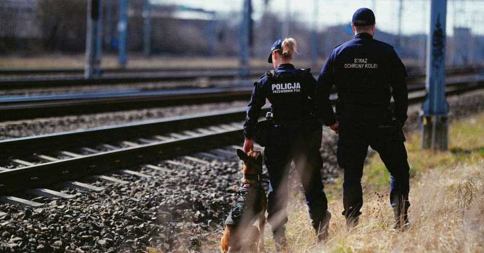 zdjęcie: Wzmożone kontrole na terenach kolejowych podczas Rail Action Week / fot. KMP w Skierniewicach
