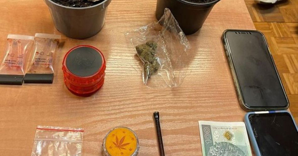 zdjęcie: Kolumbijczycy zatrzymani za uprawę konopi w mieszkaniu / fot. KPP w Wieluniu