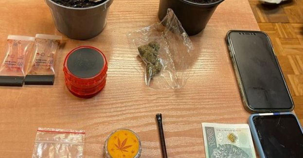 Kolumbijczycy zatrzymani za uprawę konopi w mieszkaniu