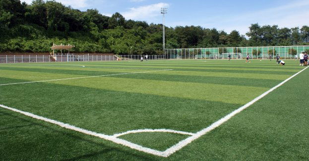 Ekstraklasa piłkarska - spółka Stadion Miejski w Białymstoku tłumaczy się z jakości murawy