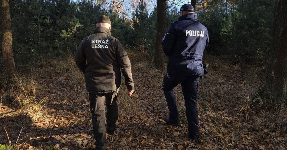 zdjęcie: Choinka 2025 Kontrole policji i straży leśnej / fot. KPP w Pszczynie