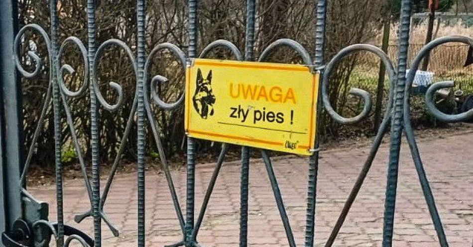 zdjęcie: Pies przeskoczył płot i ugryzł pracownika śmieciowej firmy / fot. KPP Hajnówka