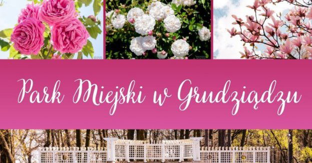 Spacer po zabytkowym Parku Miejskim