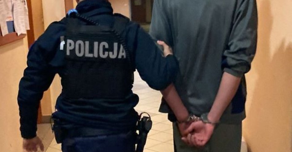 zdjęcie: Miał przy sobie marihuanę, został zatrzymany / fot. KMP w Gdyni