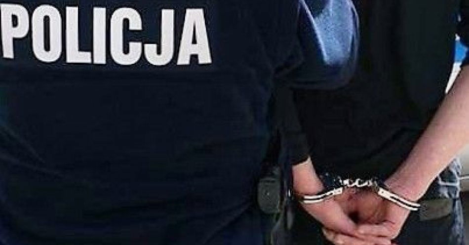 zdjęcie: Wpadł na prędkość, miał zakaz i był nietrzeźwy / fot. KPP w Pułtusku