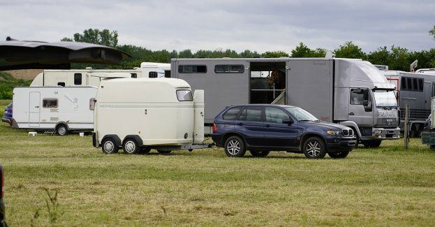Pies zaatakował kobietę na polu kempingowym