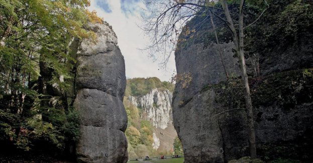Naukowcy zbadali, czy gleba małopolskich parków krajobrazowych jest wolna od WWA