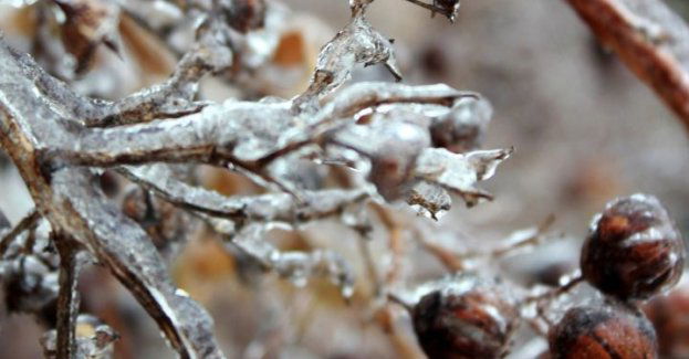 Trudne warunki na drogach, możliwe opady marznące