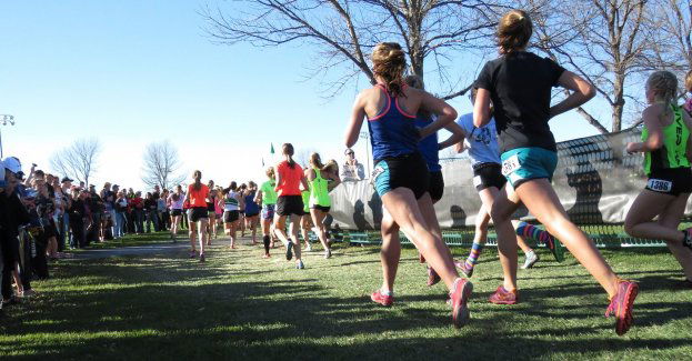 W niedzielę biegacze zablokują most Północny, Tarchomin i Ursynów