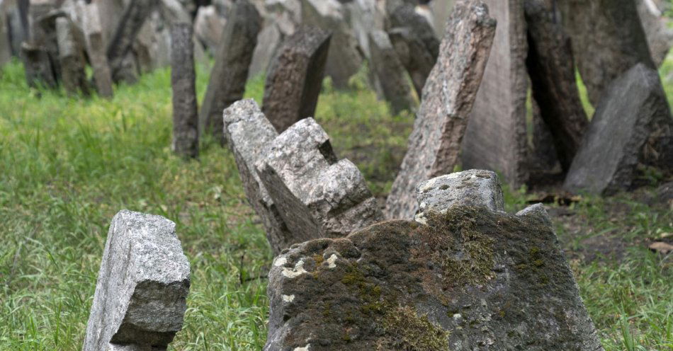 zdjęcie: Więźniowie posprzątali cmentarze przed 1 listopada / v18808420