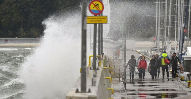 Alert RCB: prognozowany silny wiatr m.in. w Trójmieście