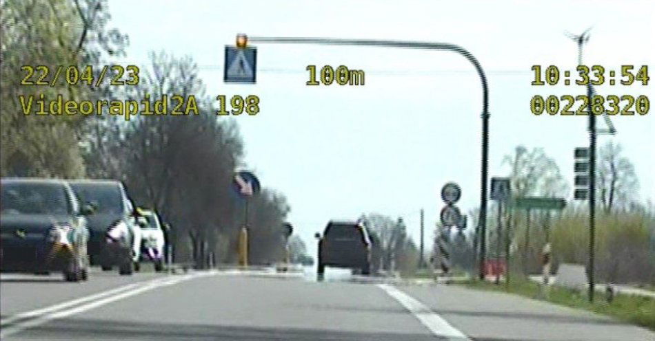 zdjęcie: Skusiła go słoneczna pogoda… / fot. KMP Biała Podlaska