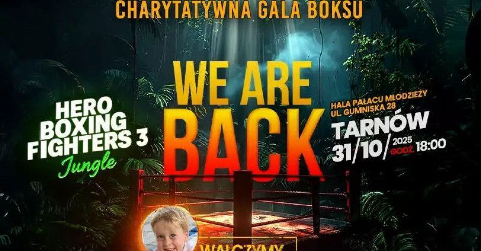 zdjęcie: Jungle - Charytatywna Gala Boksu / kupbilecik24.pl / \
