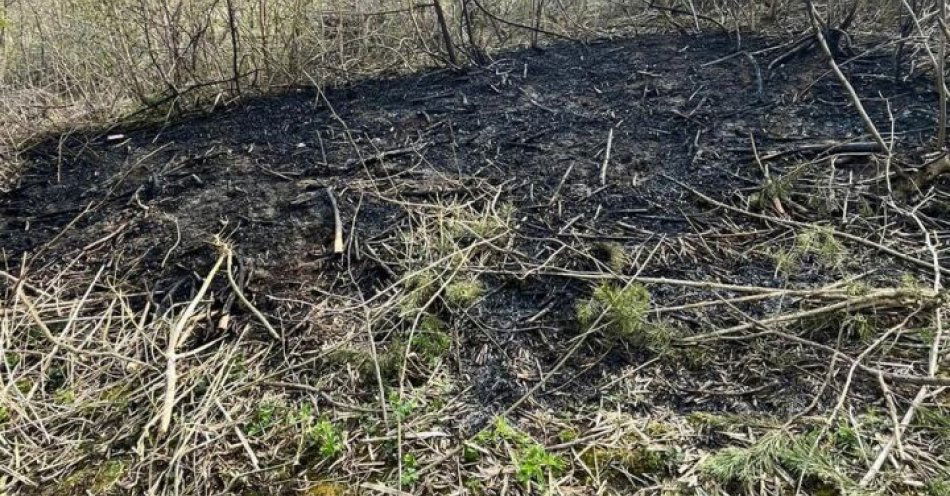 zdjęcie: Wypalanie traw grozi pożarem i karą. Policja apeluje o rozwagę / fot. KPP Hrubieszów