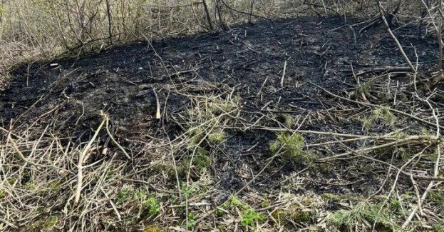 Wypalanie traw grozi pożarem i karą. Policja apeluje o rozwagę