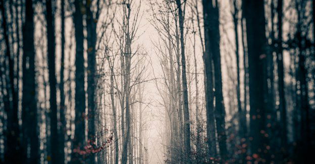 Mężczyzna, którego zwłoki znaleziono w lesie koło Częstochowy, był ofiarą morderstwa