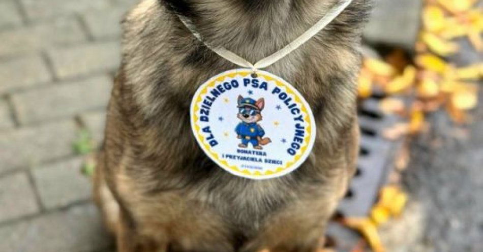 zdjęcie: Policyjny duet i pies Riko odwiedzili pierwszaków / fot. KPP w Goleniowie