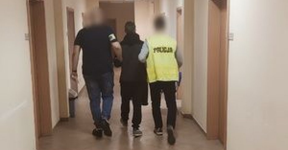 zdjęcie: Odpowie przed sadem za liczne kradzieże / fot. KPP w Tomaszowie Mazowieckim