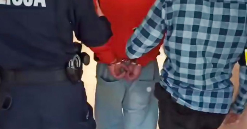 zdjęcie: Kieszonkowiec ukradł ponad 1600 zł z torebki. Zatrzymany po godzinach / fot. KMP Zielona Góra