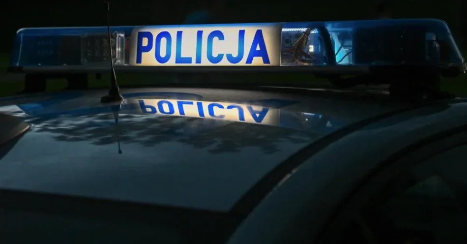 zdjęcie: Nastolatkowie zatrzymani po napaści w Goleniowie staną przed sądem rodzinnym / Rzeszów, 01.08.2025. Policyjny radiowóz w Rzeszowie, 1 bm. PAP/Darek Delmanowicz