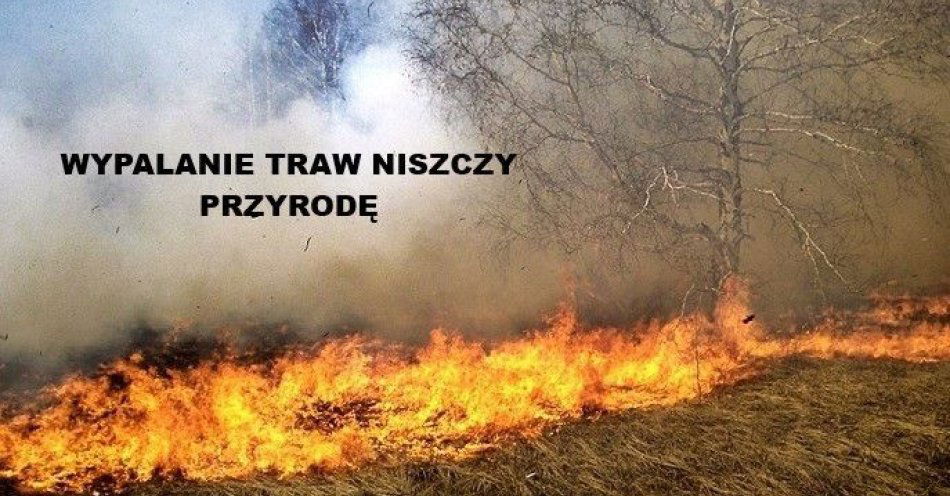 zdjęcie: Wypalanie traw to zagrożenie i konsekwencje prawne / fot. KPP w Lublińcu