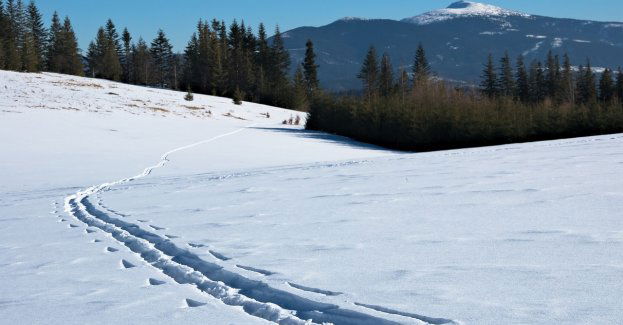 Śnieg pokrył szczyty Babiej Góry i Pilska w Beskidach