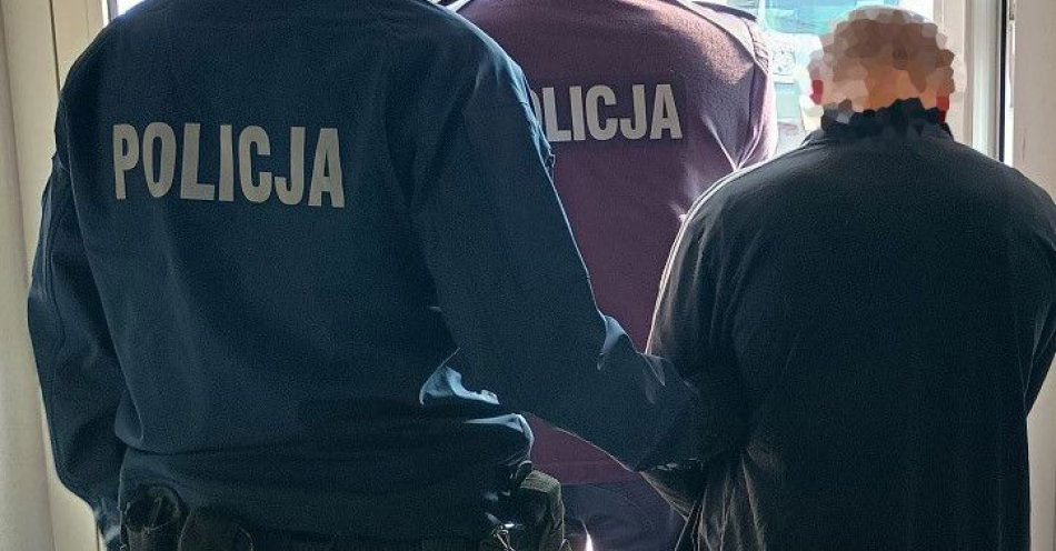 zdjęcie: Mężczyzna 35 lat trafi do zakładu karnego pies pod opieką tymczasową / fot. KPP w Gostyninie