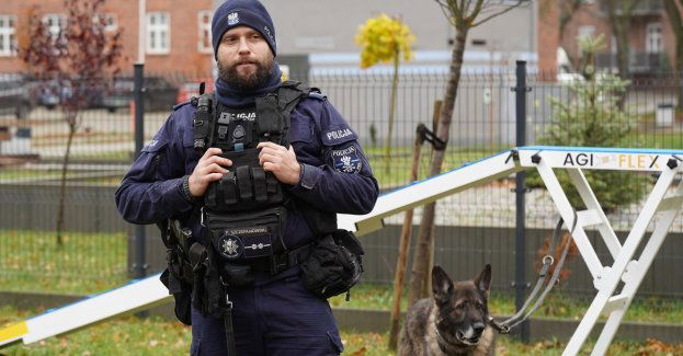 Policyjne psy z wizytą na Wydziale Kynologii