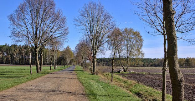 Rządowe wsparcie na drogi gruntowe